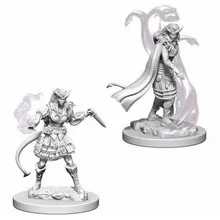 Preporučeni proizvod:  D&D Nolzur's marvelous miniatures - Tiefling Female Sorcerer