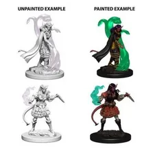 Preporučeni proizvod:  D&D Nolzur's marvelous miniatures - Tiefling Female Sorcerer