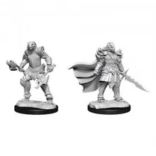 Recommended product: D&D Nolzur's Mini Dragonborn Female Fighter