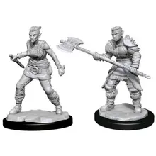 Preporučeni proizvod:  D&D Nolzur's Marvelous Miniatures Orc Female Barbarian