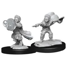 Recommended product: Pathfinder Deepcuts Male Halfling Wizard