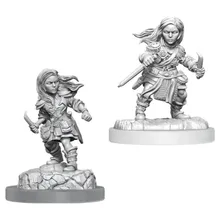 Recommended product: D&D Nolzur's Mini: Halfling Female Rogue