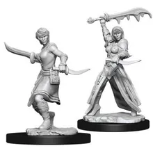 Preporučeni proizvod: D&D Nolzur's marvelous miniatures - Female Human Rogue