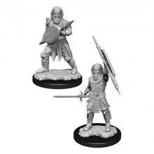 Preporučeni proizvod: D&D Nolzur's Marvelous Miniatures Human Male Fighter WZK90144