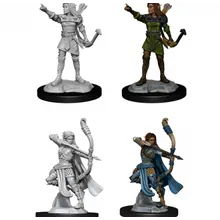 Preporučeni proizvod:  D&D Nolzur's Marvelous Miniatures Elf Female Ranger WZK90143