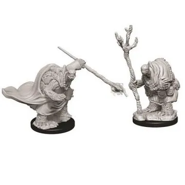 D&D Nolzur's Marvelous Miniatures - Tortles Adventurers - image of product number: 1