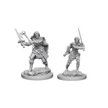 Preporučeni proizvod:  D&D Nolzur's marvelous miniatures - Female Human Barbarian