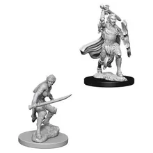 Preporučeni proizvod:  D&D Nolzur's marvelous miniatures - Female Elf Fighter