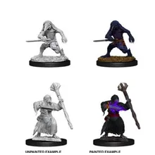 Preporučeni proizvod:  D&D Nolzur's marvelous miniatures - Kenku Adventures