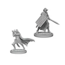 Preporučeni proizvod: D&D Nolzur's marvelous miniatures - Male Elf Paladin
