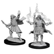 Preporučeni proizvod:  Pathfinder Deepcuts Male Elf Sorcerer