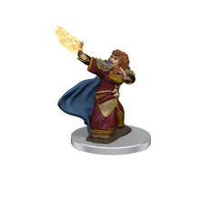 Preporučeni proizvod:  DD5 Icons Premium Mini Dwarf Female Wizard