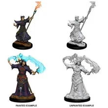 Preporučeni proizvod:  Pathfinder Human Male Sorcerer