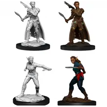 Preporučeni proizvod:  D&D Nolzur's Marvelous Miniatures Shifter Female Rogue
