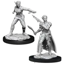 Preporučeni proizvod:  D&D Nolzur's Marvelous Miniatures Shifter Female Rogue