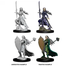 Preporučeni proizvod:  D&D Nolzur's marvelous miniatures - Female Elf Paladin