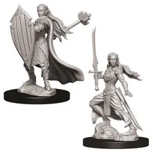 Preporučeni proizvod:  D&D Nolzur's marvelous miniatures - Female Elf Paladin