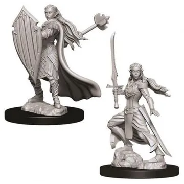 D&D Nolzur's marvelous miniatures - Female Elf Paladin - image of product number: 1