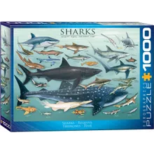 Preporučeni proizvod: Puzzle Sharks