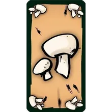 Preporučeni proizvod: Cockroach Soup