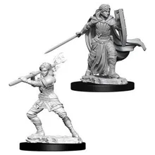 Preporučeni proizvod:  D&D Nolzur's marvelous miniatures Female Human Paladin WZK73830