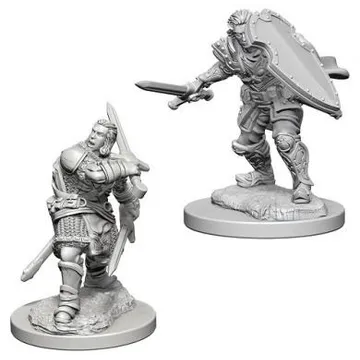D&D Nolzur's marvelous miniatures - Male Human Paladin - slika proizvoda pod brojem: 1