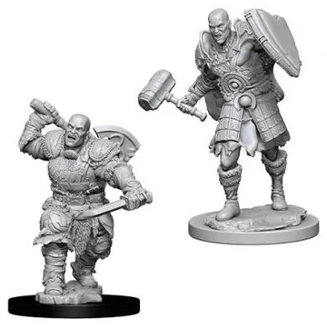 D&D Nolzur's marvelous miniatures - Male Goliath Fighter - slika proizvoda pod brojem: 1