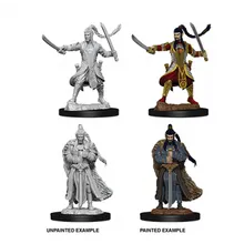 Preporučeni proizvod: D&D Nolzur's Marvelous Miniatures Elf Male Paladin