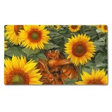 Recommended product: Dragon Shield Art Tangerine - Dyrkottr Dragon of Curiosity Playmat