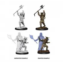 Recommended product: D&D Nolzur's Marvelous Miniatures Human Male Barbarian