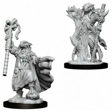 D&D Nolzur's marvelous miniatures - Female Dragonborn Sorcerer - image of product number: 1