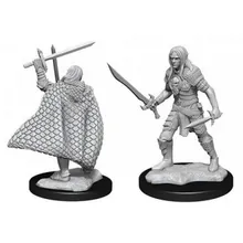 Recommended product: Pathfinder Deepcuts Elf Male Fighter