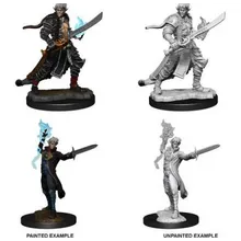 Preporučeni proizvod:  Pathfinder Elf Male Magus