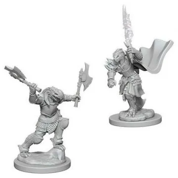 D&D Nolzur's marvelous miniatures - Female Dragonborn Fighter - image of product number: 1