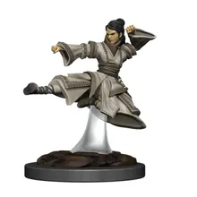 Recommended product: DD5 Icons Premium Mini Human Female Monk