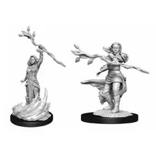 Preporučeni proizvod: D&D Nolzur's Mini Human Female Druid