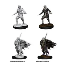 Preporučeni proizvod:  Pathfinder D-cut Male Elf Rogue Minis