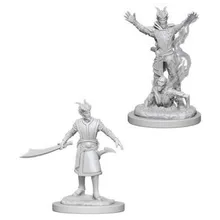Recommended product: D&D Nolzur's marvelous miniatures - Male Tiefling Warlock