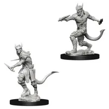 Preporučeni proizvod: D&D Nolzur's marvelous miniatures - Male Tiefling Rogue