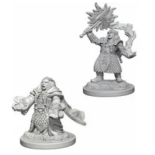 Preporučeni proizvod:  D&D Nolzur's marvelous miniatures - Female Dwarf Cleric