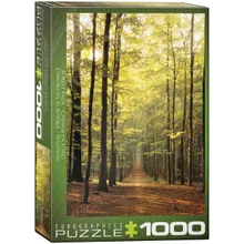 Preporučeni proizvod: Puzzle Forest Path