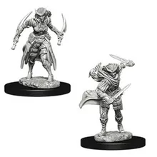 Preporučeni proizvod: D&D Nolzur's marvelous miniatures - Female Tiefling Rogue