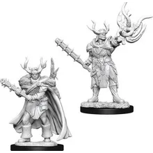 Preporučeni proizvod:  Pathfinder D-cut Male Half-orc Druid Minis