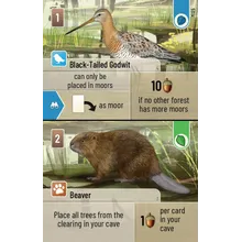 Preporučeni proizvod: Forest Shuffle Dartmoor