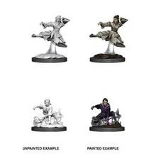 Preporučeni proizvod: D&D Nolzur's Marvelous Miniatures Human Female Monk WZK90008