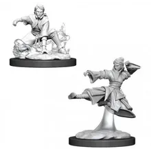 Preporučeni proizvod: D&D Nolzur's Marvelous Miniatures Human Female Monk WZK90008