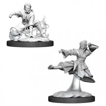 D&D Nolzur's Marvelous Miniatures Human Female Monk WZK90008 - image of product number: 1