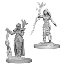 Preporučeni proizvod: D&D Nolzur's marvelous miniatures - Female Human Druid