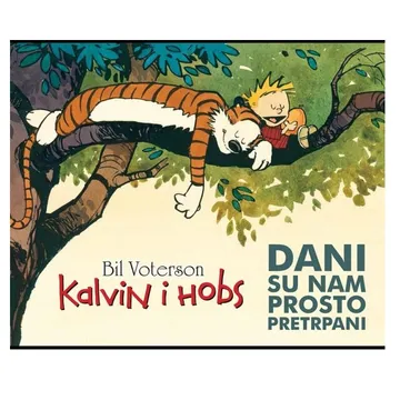 Kalvin i Hobs Dani su nam prosto pretrpani - slika proizvoda pod brojem: 1