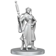 Preporučeni proizvod: Critical Role Beauregard Lionett and Caleb Widogast